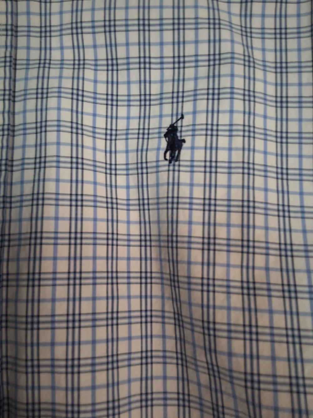 Polo by Ralph Lauren Men's Blue Plaid Button-Down Shirt